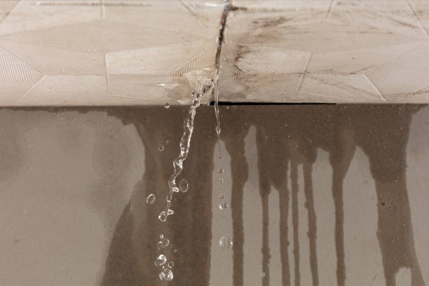 Professional Flood Damage Cleanup technician working in Austin, IN